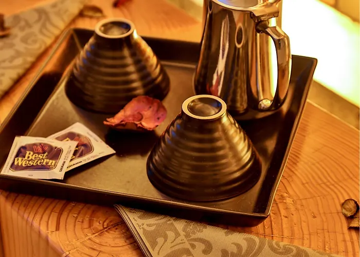 Otel Western Genova 4*